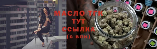 индика Бронницы